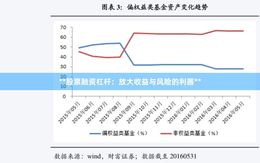 **股票融资杠杆：放大收益与风险的利器**